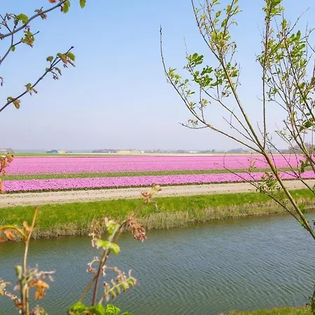 Regina - Juliana Aan Zee Διαμέρισμα Julianadorp