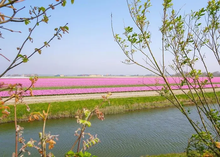 Regina - Juliana Aan Zee Apartament Julianadorp